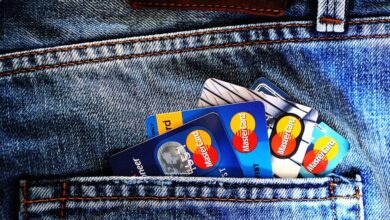 A payment card representing MoneyLion RoarMoney